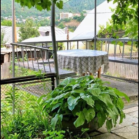 Achela'S Guesthouse 보르조미 외부 사진