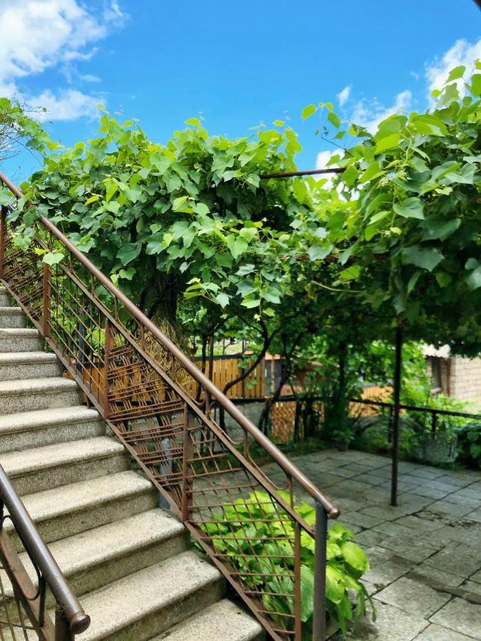 Achela'S Guesthouse 보르조미 외부 사진