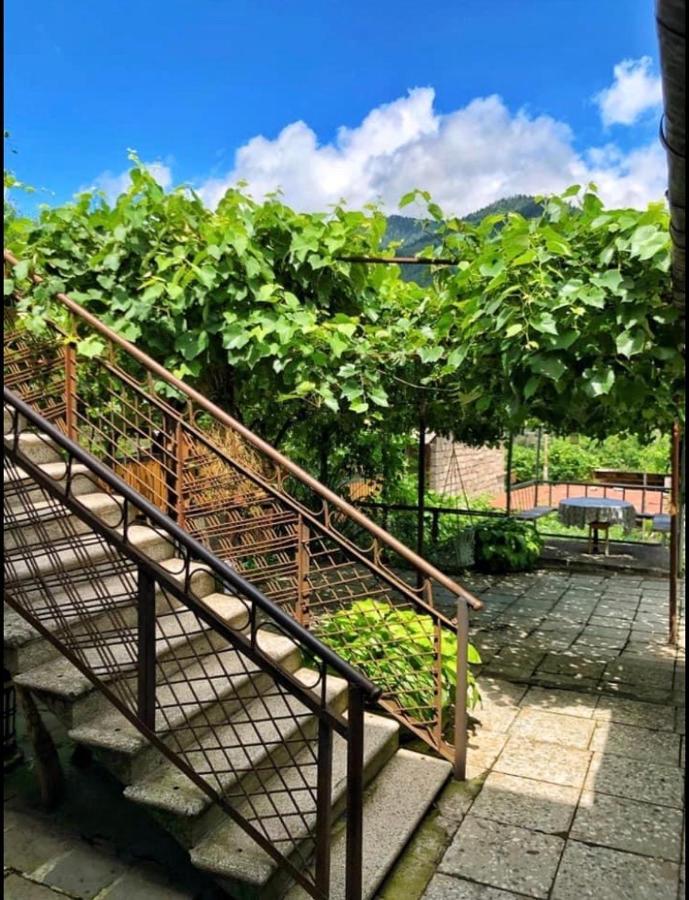 Achela'S Guesthouse 보르조미 외부 사진