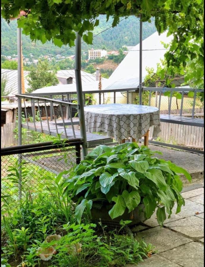 Achela'S Guesthouse 보르조미 외부 사진