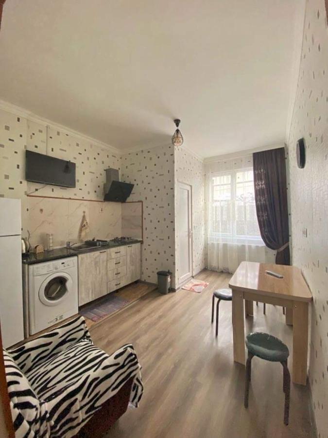 Achela'S Guesthouse 보르조미 외부 사진