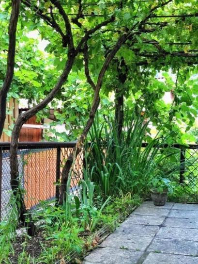 Achela'S Guesthouse 보르조미 외부 사진
